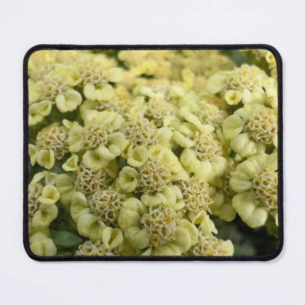 Item preview, Yarrow Moon Dust designed and sold by Betsy Phillips.