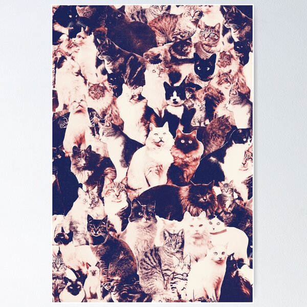 Item preview, Cats Forever designed and sold by Florent Bodart.