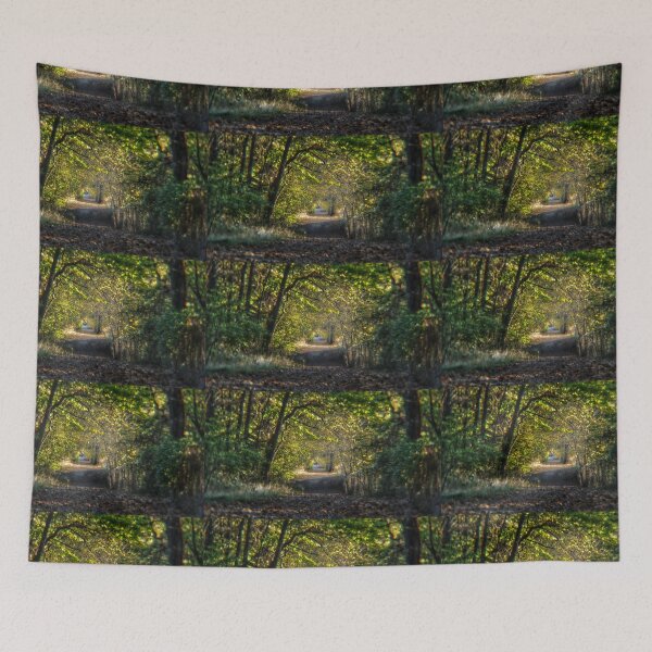 Item preview, A Path - Wilderness Park designed and sold by kinkatstyle.