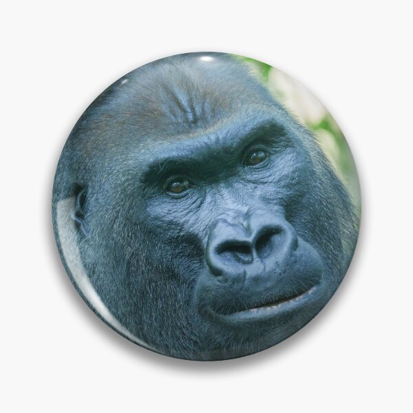 Item preview, Unwavering Strength Silverback Gorilla Kito designed and sold by rawshutterbug.