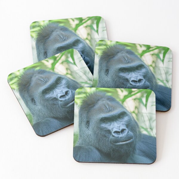 Item preview, Unwavering Strength Silverback Gorilla Kito designed and sold by rawshutterbug.