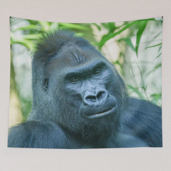 Item preview, Unwavering Strength Silverback Gorilla Kito designed and sold by rawshutterbug.