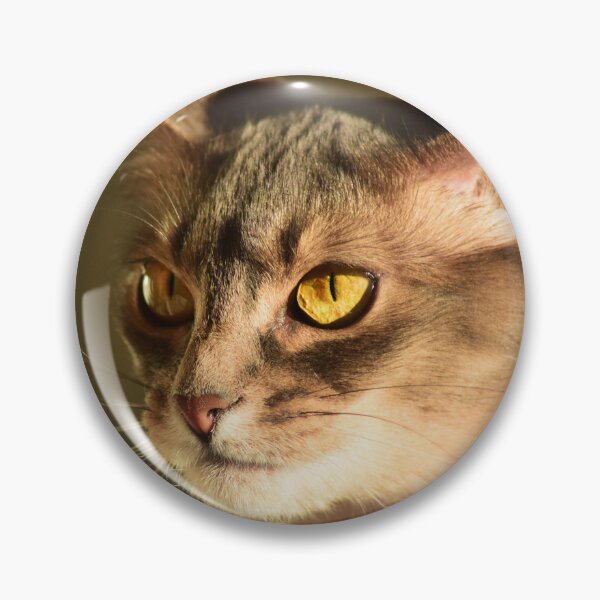 Item preview, Gato perturbado designed and sold by Doocka.
