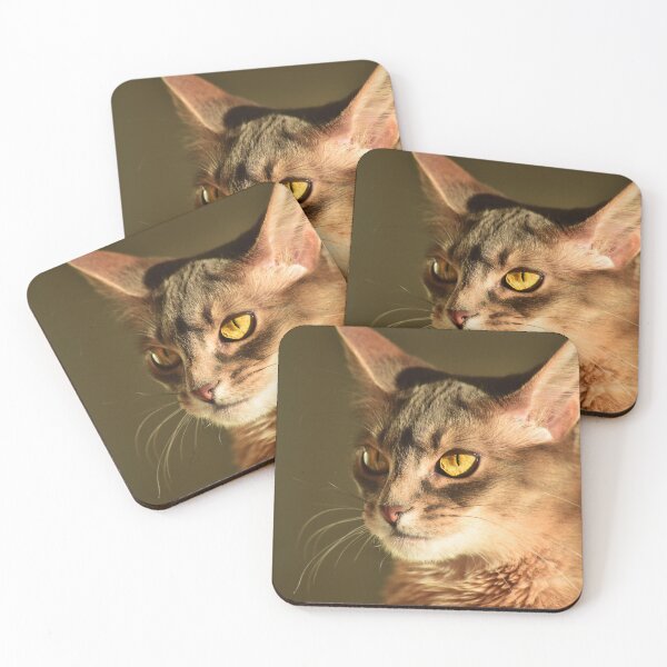 Item preview, Disturbed cat designed and sold by Doocka.