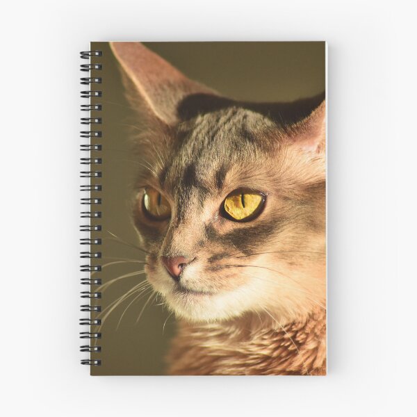 Artikelvorschau, Verstörte Katze entworfen und verkauft von Doocka.