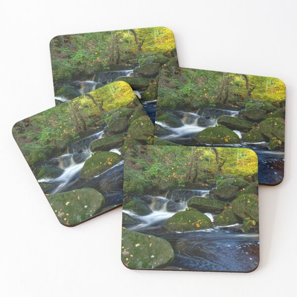 Artikelvorschau, Padley Gorge Herbstwald entworfen und verkauft von Alisonchambers2.