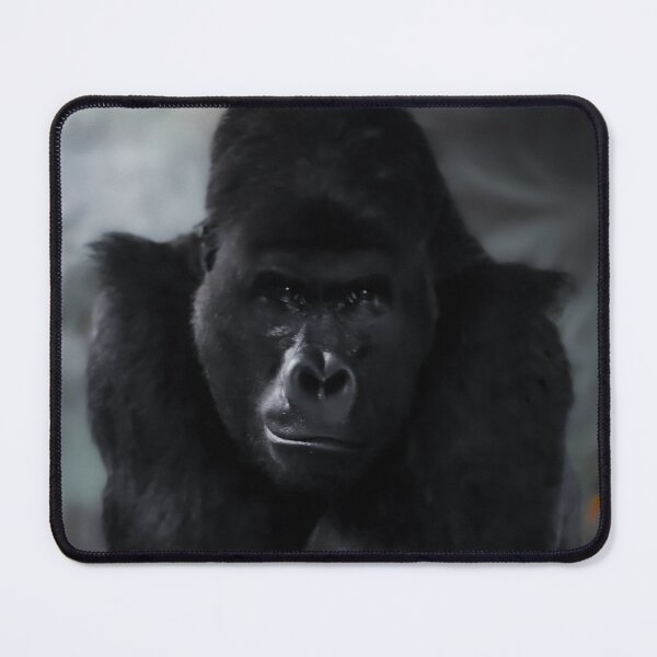Item preview, Face to face with the Gorilla designed and sold by Kolmas-Paiva.
