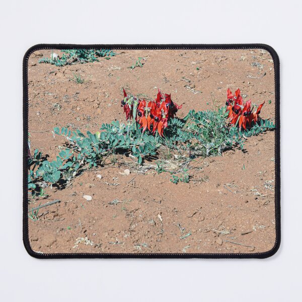 Item preview, Sturt Desert Pea designed and sold by Bevlyn.