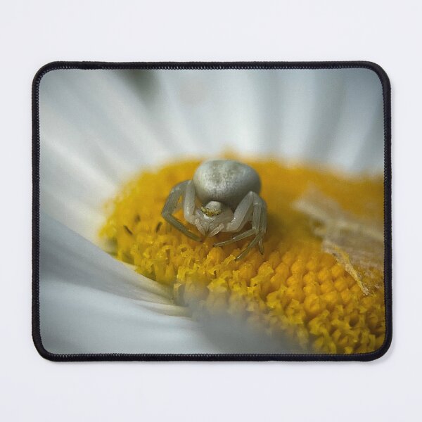 Item preview, The Crab Spider on a Daisy designed and sold by Kolmas-Paiva.