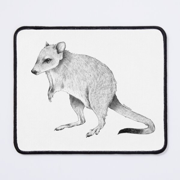 Item preview, Brush-tailed Bettong Woylie Illustration designed and sold by Mousewren.