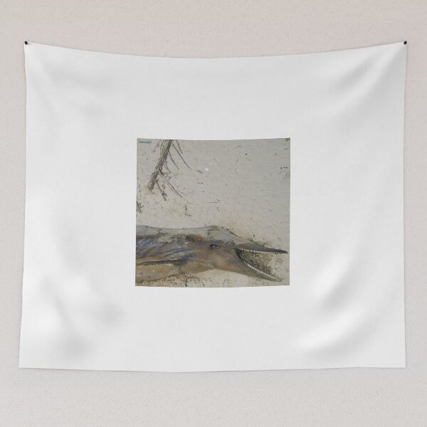Item preview, A happy dolphin in eternal peace on the beach designed and sold by ZoffArt-Shop.