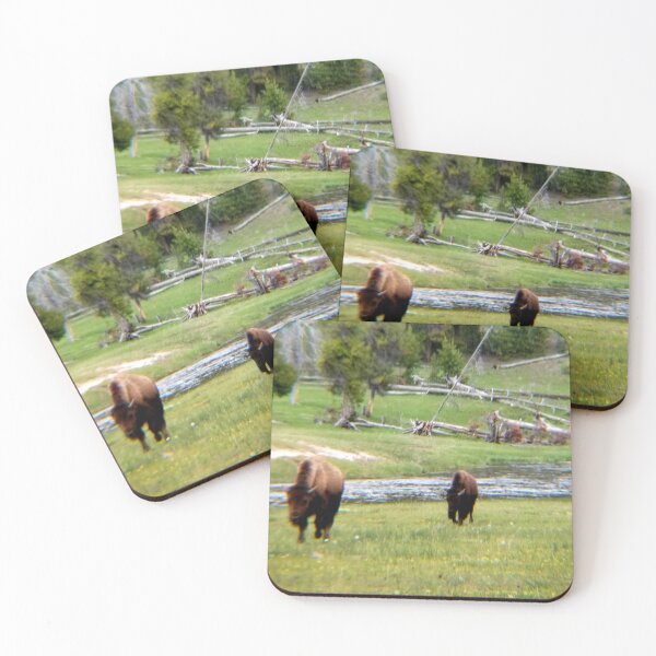 Item preview, Bison designed and sold by Larrysphotos.