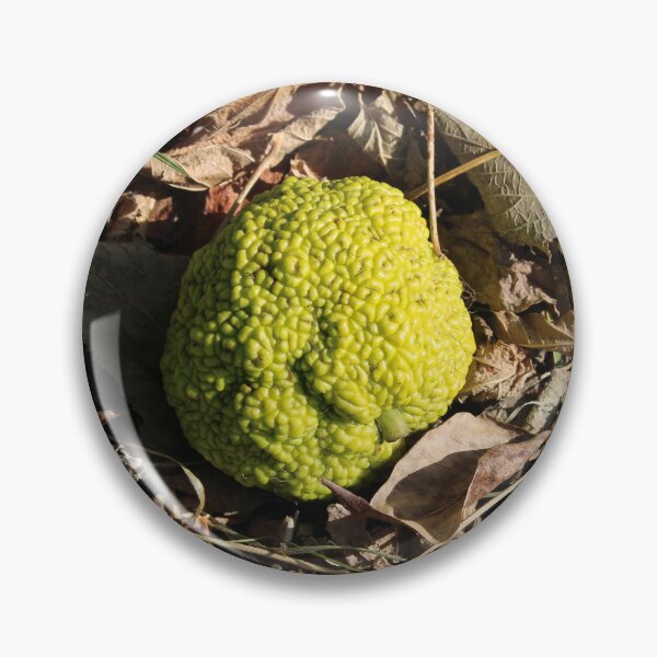 Item preview, Osage orange  designed and sold by McFleur's Lens.