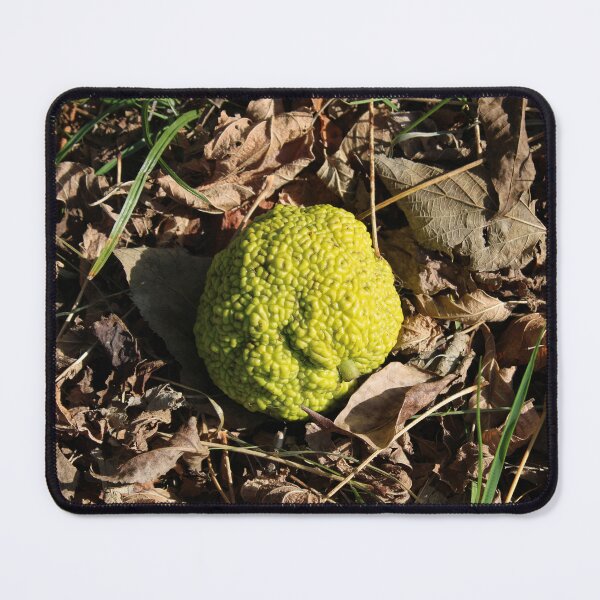 Item preview, Osage orange designed and sold by McFleur's Lens.