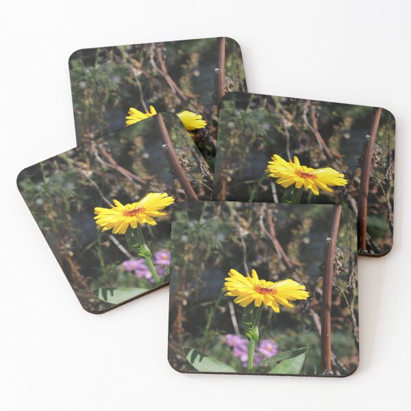 Item preview, Calendula  designed and sold by McFleur's Lens.
