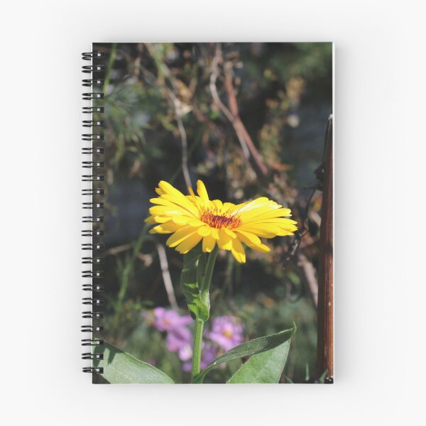 Item preview, Calendula  designed and sold by McFleur's Lens.