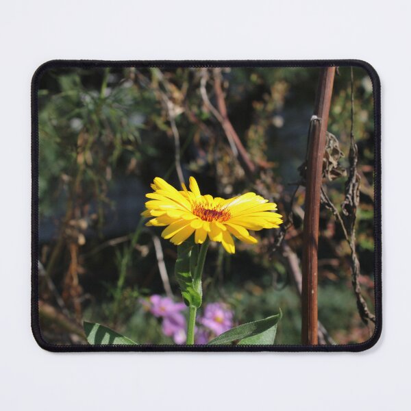 Item preview, Calendula  designed and sold by McFleur's Lens.