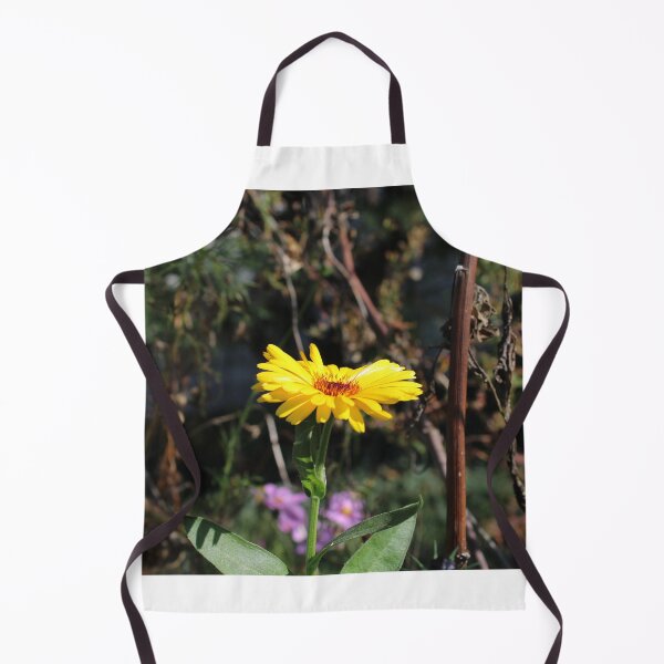 Item preview, Calendula designed and sold by McFleur's Lens.