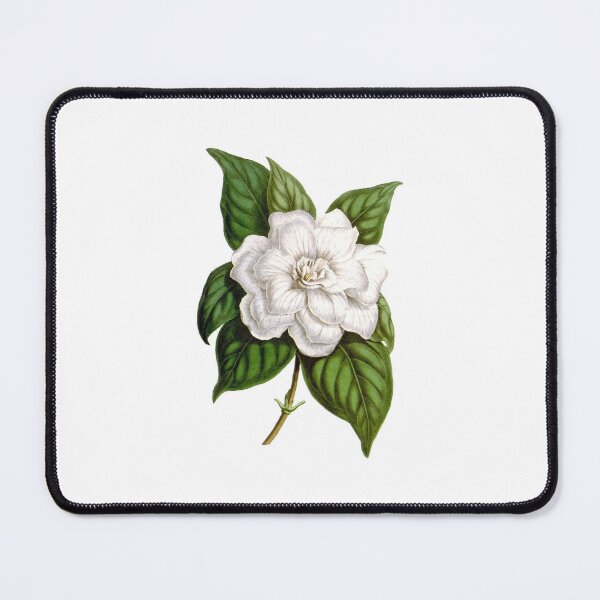 Item preview, Vintage 19th Century Floral Art Print | Classic Botanical Design | Timeless Flower Illustration for Home Decor designed and sold by yourgarden.