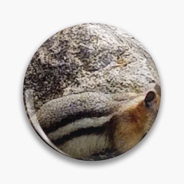 Item preview, Ground Squirrel  designed and sold by Larrysphotos.