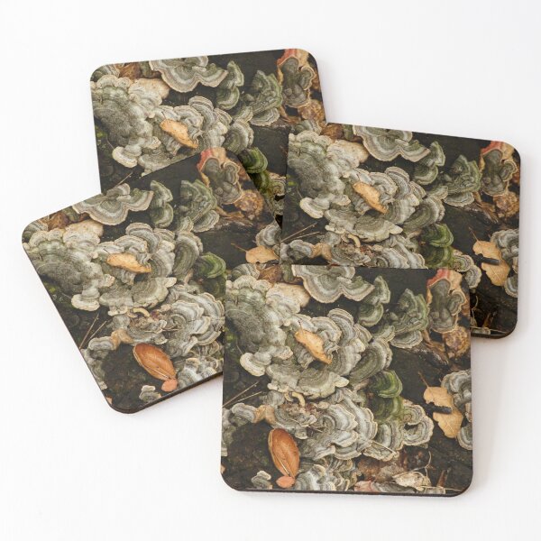 Item preview, Fungus on Dead Wood designed and sold by Robert Ball.