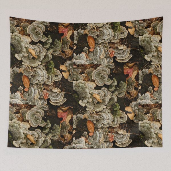 Item preview, Fungus on Dead Wood designed and sold by Robert Ball.
