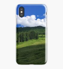 Landscape panorama - mountain forest nature iPhone Case