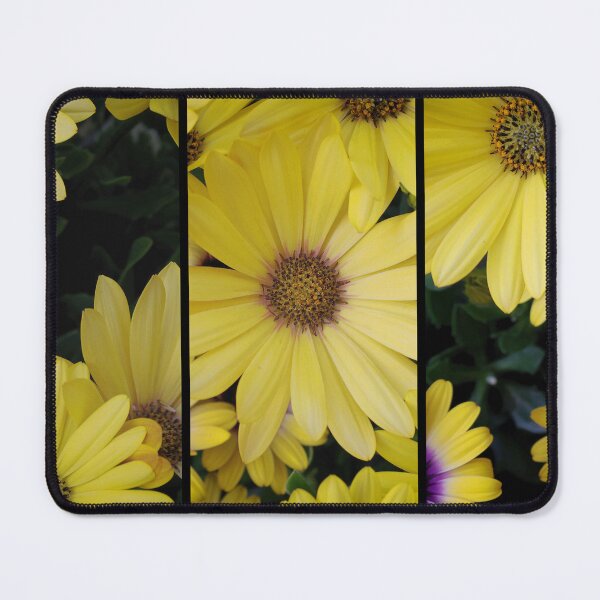 Item preview, Yellow African Daisies designed and sold by James DeFazio.