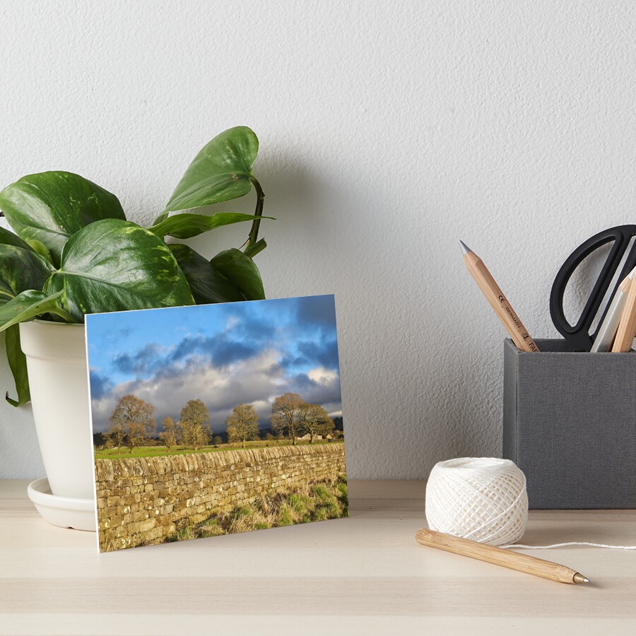 Item preview, Art Board Print designed and sold by venturousfeli.