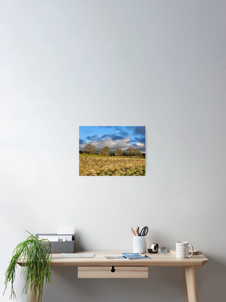 Thumbnail 2 of 3, Poster, Subtle Sunlight designed and sold by Kat Simmons.
