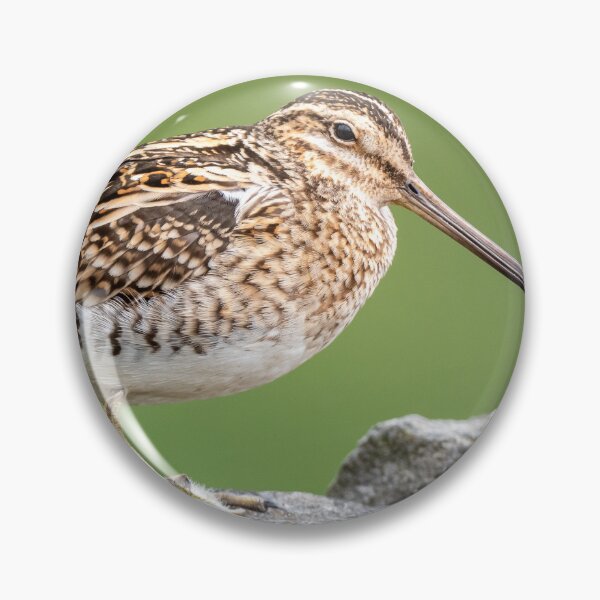 Item preview, snipe designed and sold by tammy mellor.