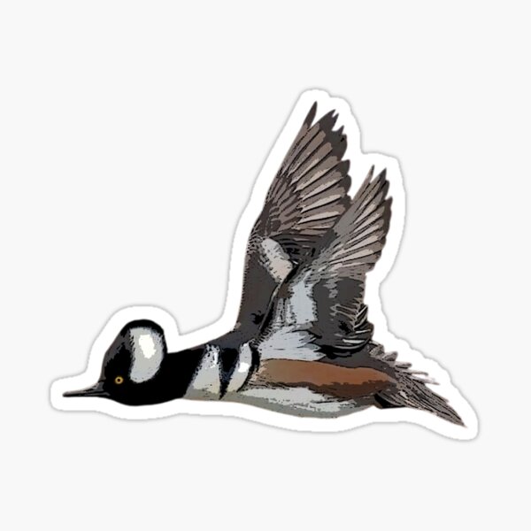 Item preview, Hooded Merganser Color Design  designed and sold by designsasstultd.