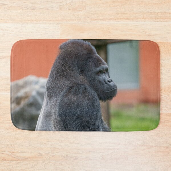 Item preview, Thoughtful Dishi Watching Blackback’s Steps designed and sold by rawshutterbug.