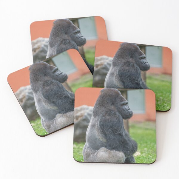 Item preview, Thoughtful Dishi Watching Blackback’s Steps designed and sold by rawshutterbug.
