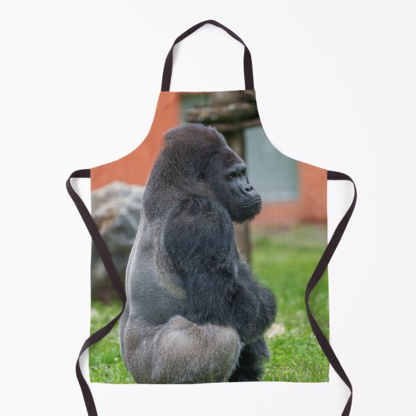 Item preview, Thoughtful Dishi Watching Blackback’s Steps designed and sold by rawshutterbug.