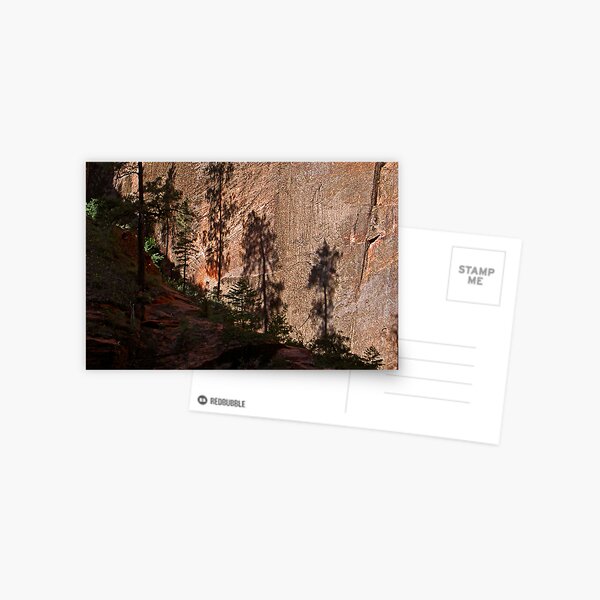 Light and Shadows in Zion Postcard