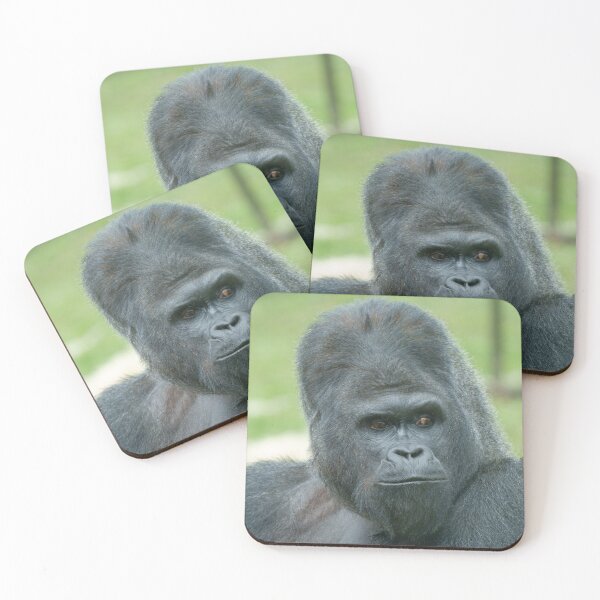 Item preview, Impressive Silverback Dishi designed and sold by rawshutterbug.