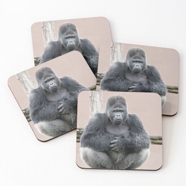 Item preview, Silverback Dishi in Peaceful Moment designed and sold by rawshutterbug.