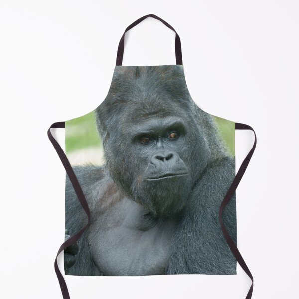 Item preview, Impressive Silverback Dishi designed and sold by rawshutterbug.
