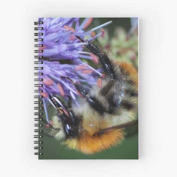 Item preview, Upside down bee designed and sold by Hanneke Jonkman.