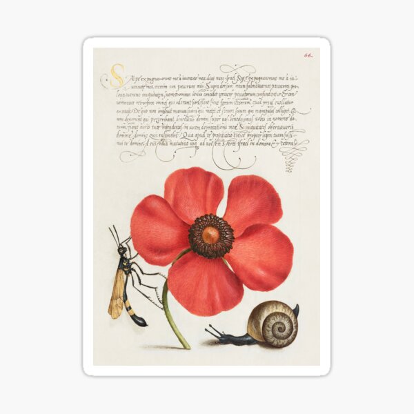 Item preview, An excerpt about a bee, a poppy, and a snail designed and sold by SuziQPrayers427.