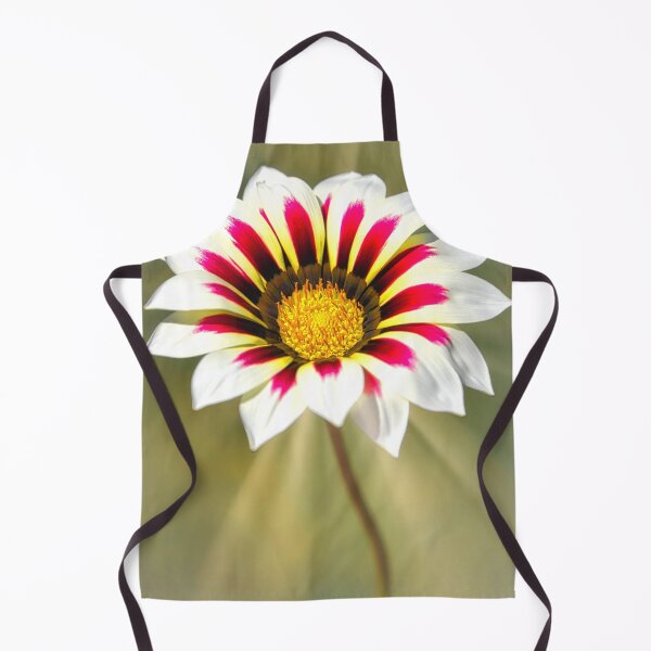 Item preview, Gorgeous Gazania designed and sold by JEZ22.