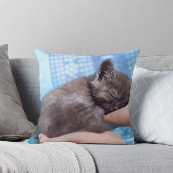 Item preview, Sleeping grey kitten  designed and sold by Pokofoto.