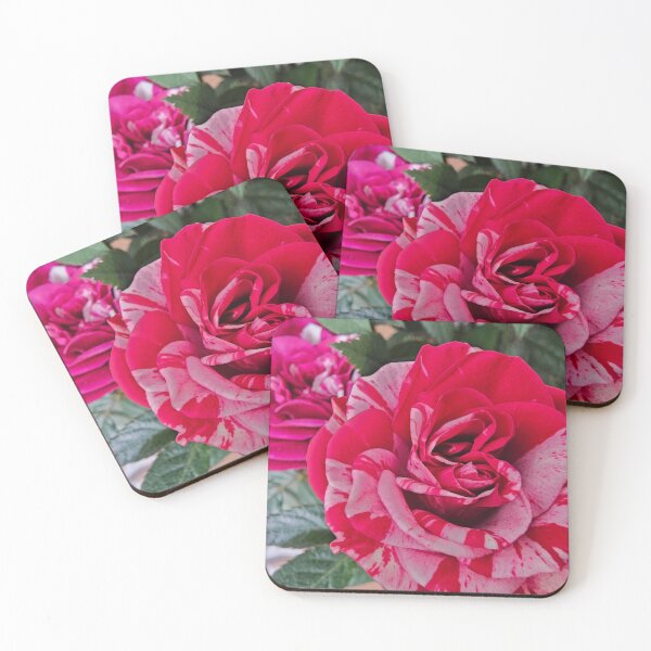 Item preview, Duo of Patterned Mini Roses designed and sold by Quincy-Hedgehog.
