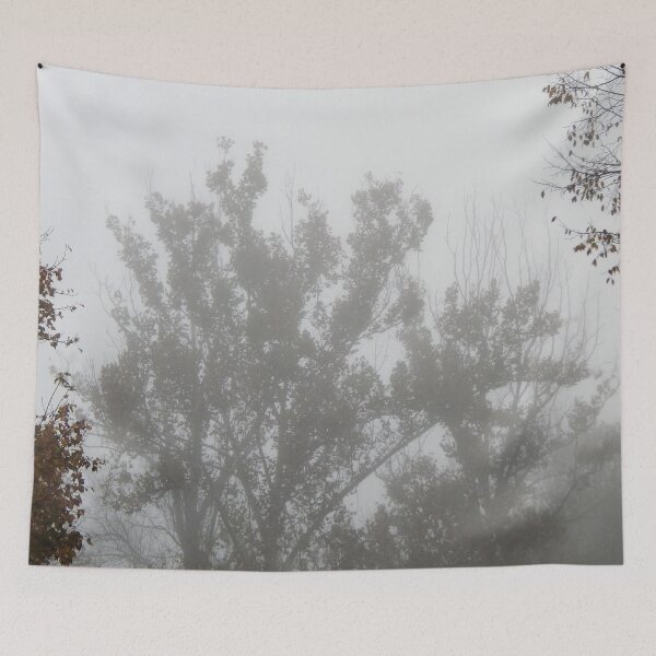 Item preview, Sycamore Tree in Fog designed and sold by gistinker.