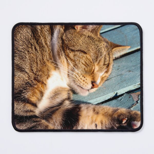Item preview, A Sunbathing Cat Fast Asleep designed and sold by Michael Worley.