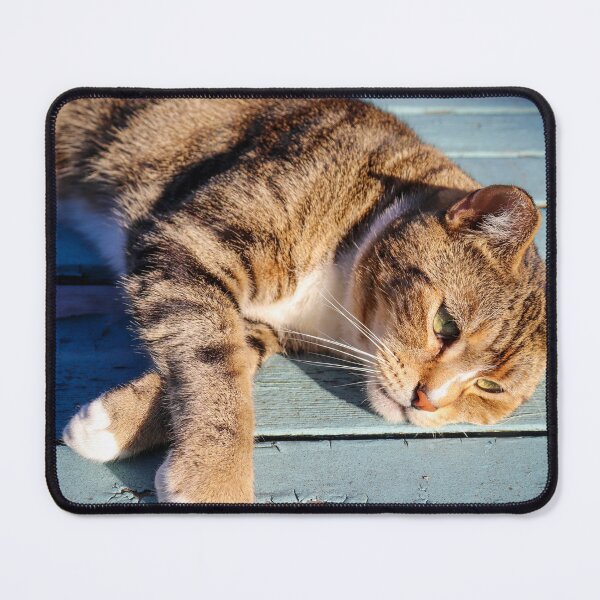 Item preview, A Cat Relaxing in the Sun designed and sold by Michael Worley.