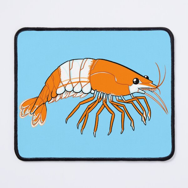 Item preview, Cherry Shrimp (Orange Rili) designed and sold by DinoDoggie.