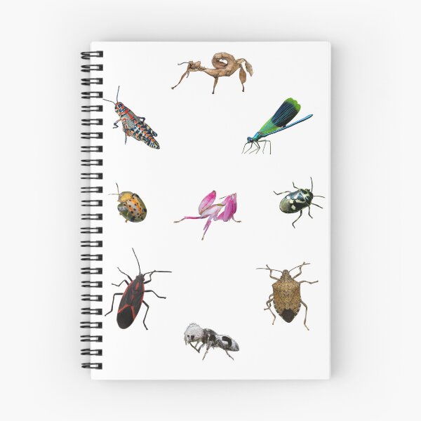 Item preview, Assorted bugs designed and sold by Wondrous-Wild.