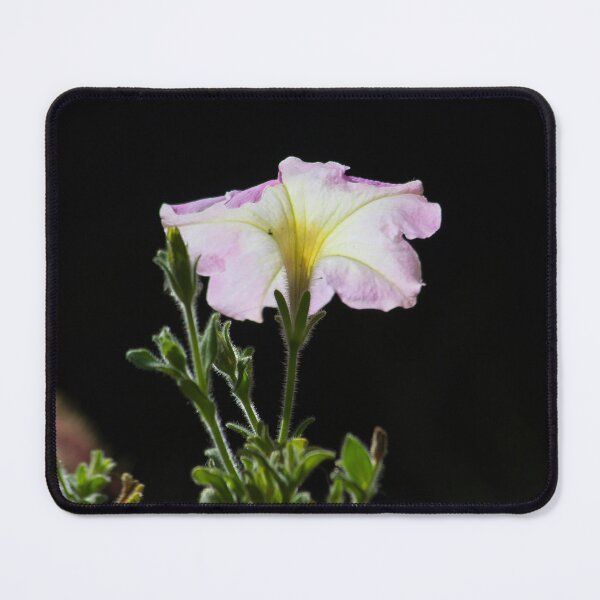 Item preview, Sun Gathering designed and sold by alanathrower.